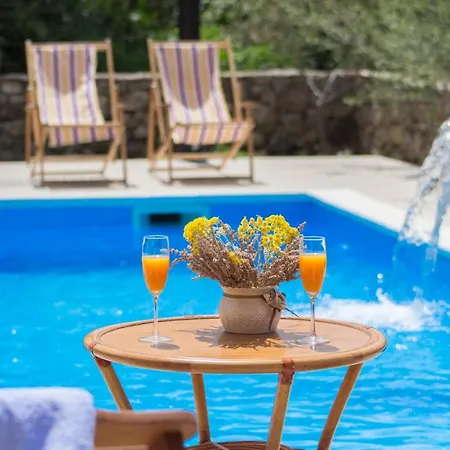 Villa Pool Miljevci Bristane Drniš