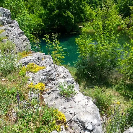 Villa Pool Miljevci Bristane *